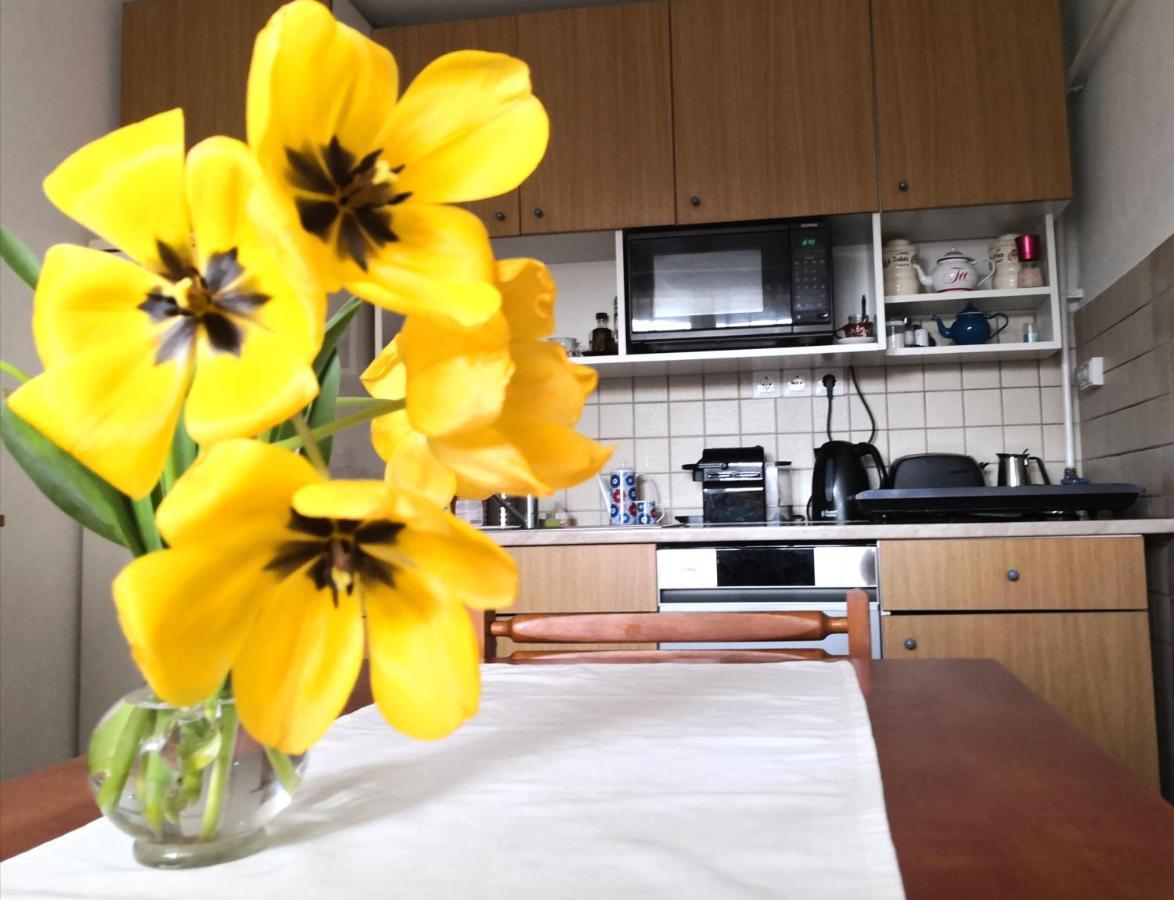Domboldal Vendeghaz Appartement Noszvaj Buitenkant foto