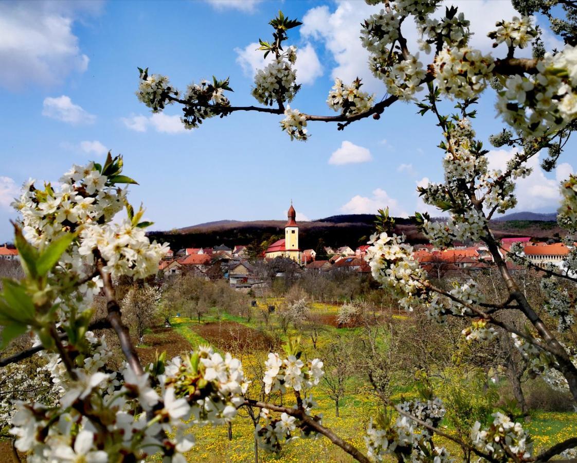 Domboldal Vendeghaz Appartement Noszvaj Buitenkant foto