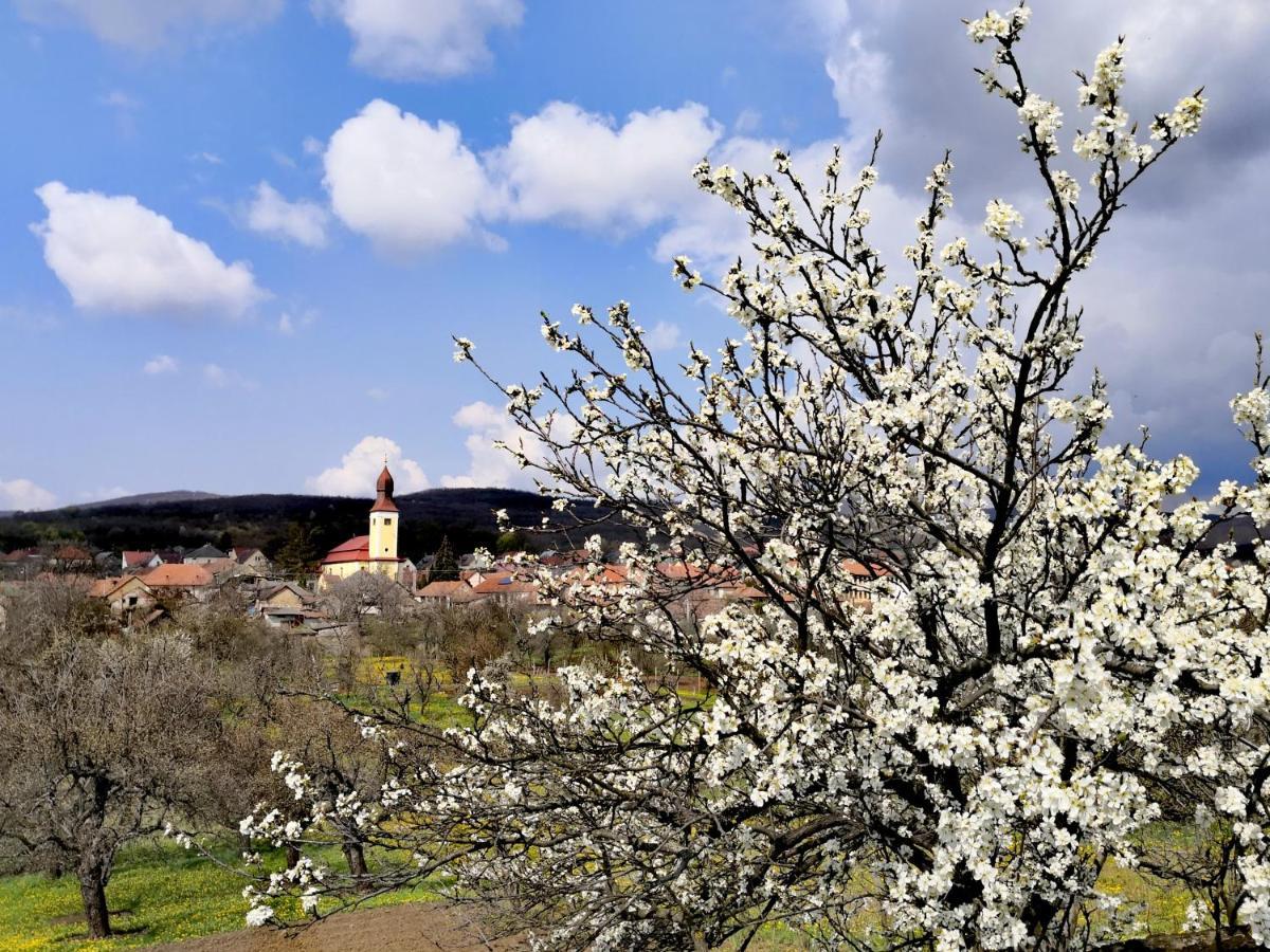 Domboldal Vendeghaz Appartement Noszvaj Buitenkant foto
