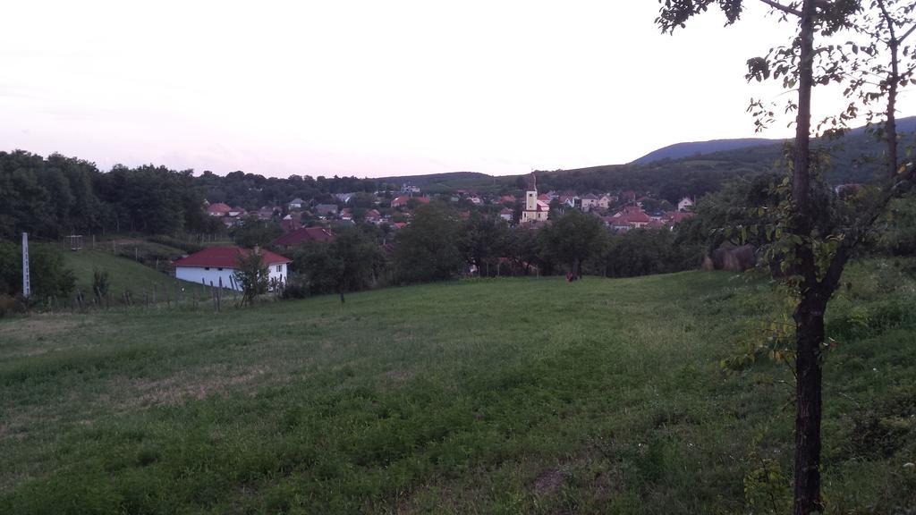 Domboldal Vendeghaz Appartement Noszvaj Buitenkant foto