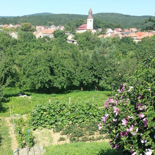 Domboldal Vendeghaz Appartement Noszvaj Buitenkant foto