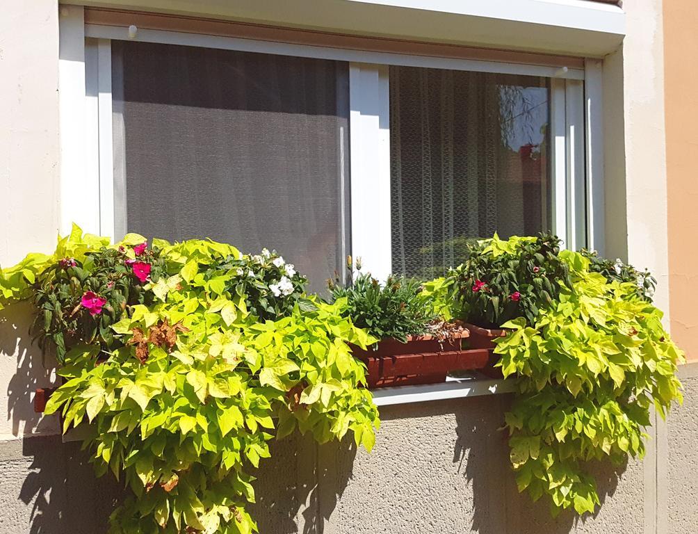 Domboldal Vendeghaz Appartement Noszvaj Buitenkant foto